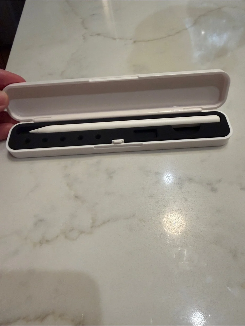 Apple White and Black Apple Pencil with White Case
